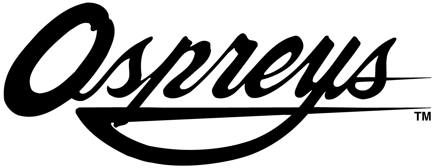 UNF Ospreys 0-1998 Wordmark Logo iron on transfers for fabric
